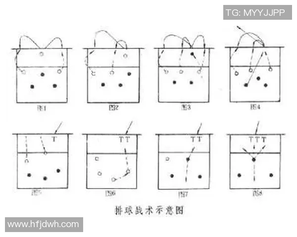 杭州排球队的控制打法深度解析与战术应用探讨
