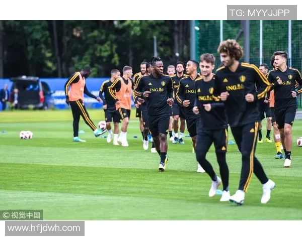 比利时与日本河马的精彩对决解析与战术分析